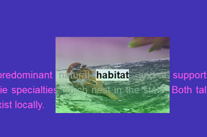 JS特效在文章中图片弹出动画