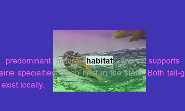 JS特效在文章中图片弹出动画