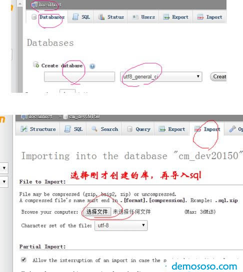 DM企业建站系统
