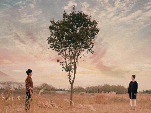 最浪漫的ai域名,连通人工智能与爱情