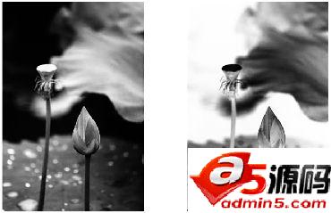 CorelDRAW中反显颜色的三种方法介绍