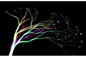 Canvas梦幻大树生长动画特效