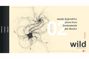 HTML5全屏手风琴内容切换代码