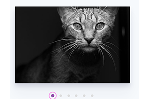 HTML5 SVG圆点控制图片切换代码