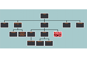 jQuery鼠标拖拽组织结构图代码