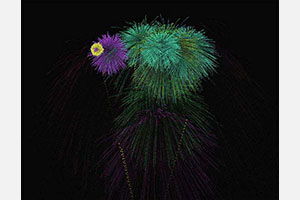 HTML5 Canvas五彩烟花动画特效