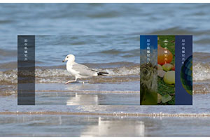 jQuery全屏背景手风琴切换代码