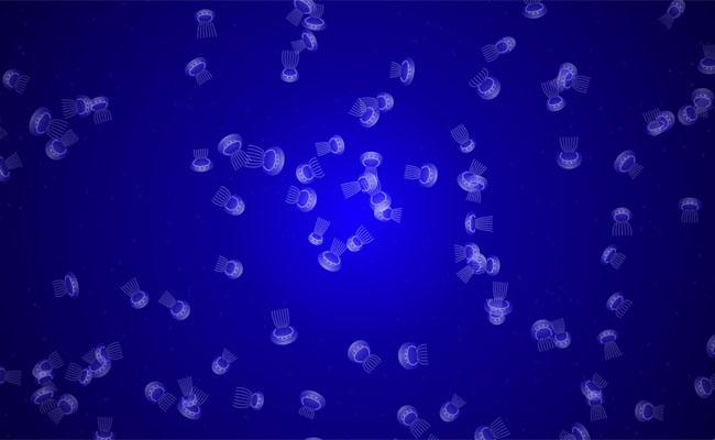 html5 canvas游动的水母特效