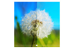 js图片修改前后对比代码