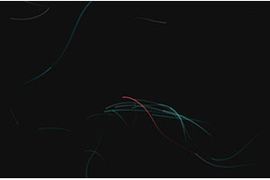 HTML5游动的线条动画js特效