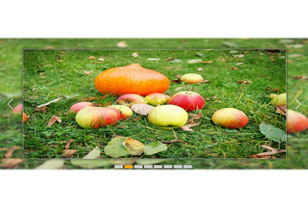 jQuery宽屏3D旋转切换图片代码