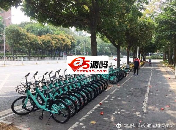 因违规投放,滴滴青桔单车遭深圳叫停