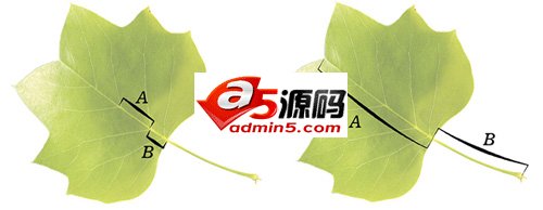 干货分享: 几何设计学原理の黄金分割在网页设计中的应用