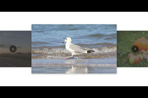 Swiper全屏自适应图片轮播代码