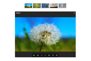 jQuery点击缩略图弹窗查看大图代码