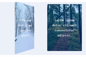 CSS3悬停卡片3D翻转动画特效