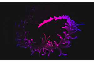 HTML5 Canvas鼠标移动花纹特效