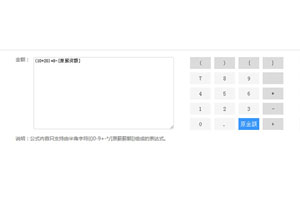 js手工调薪输入表达式代码