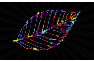 CSS3 SVG彩色叶子动画特效