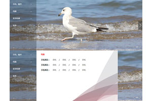 Banner焦点图带导航菜单代码