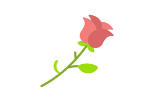 HTML5 SVG线条玫瑰花动画特效