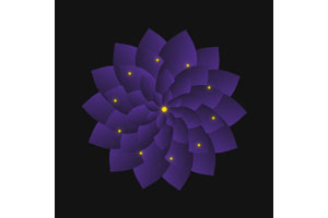 CSS3鼠标经过点亮紫色花瓣特效