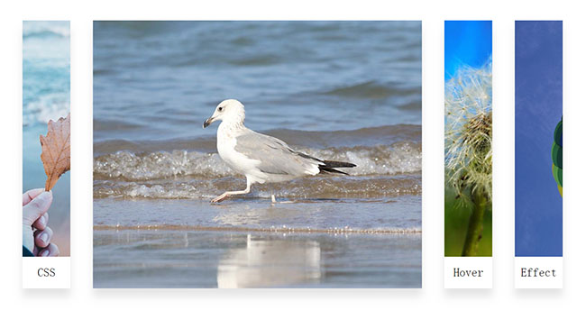  CSS3横向切换图片手风琴特效