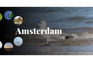 HTML5圆形导航全屏图片切换