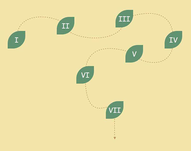  CSS3 SVG叶子虚线显示特效