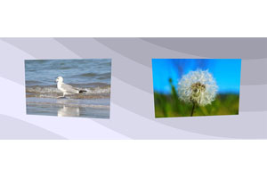 js+css3页面滚动图片倾斜动画