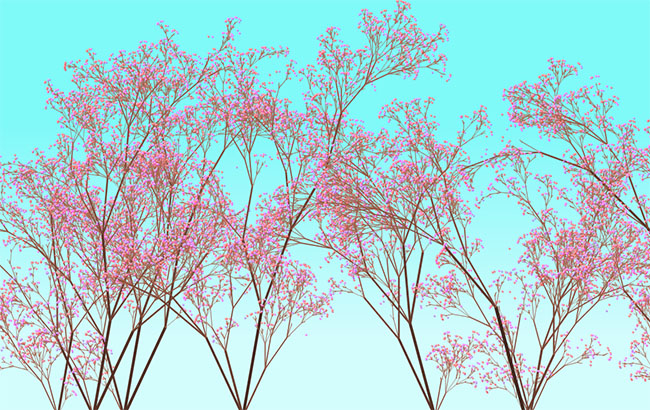  HTML5 Canvas樱花树木特效