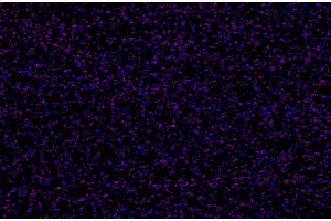 HTML5 Canvas粉末噪点动画特效