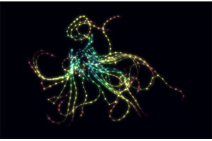 HTML5 Canvas发光微生物动画特效