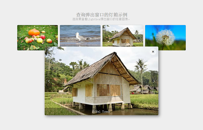  Lightbox点击图片弹窗展示代码