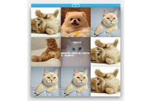 js图片相册随机换一换代码