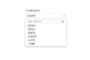 jQuery下拉搜索菜单选择插件