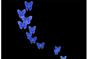 蝴蝶飞舞canvas动画特效