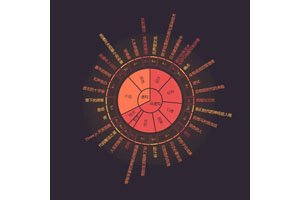 JS旭日图表标签分类统计代码