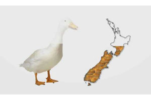 jQuery动态图片加载代码