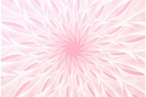 透明白色花环HTML5特效