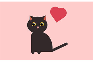 猫咪求爱图形CSS3特效