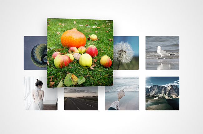  vue鼠标悬停图片放大特效