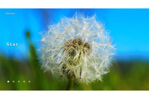 HTML5全屏百叶窗切换特效