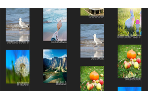 相册上下无缝滚动展示特效