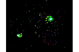 梦幻魔法粒子Canvas特效