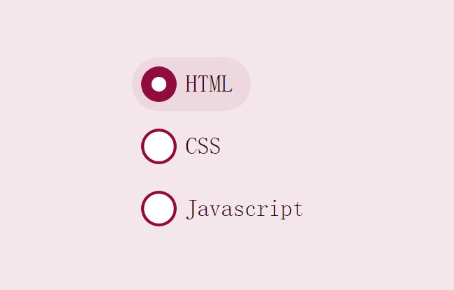  CSS3单选按钮动画特效