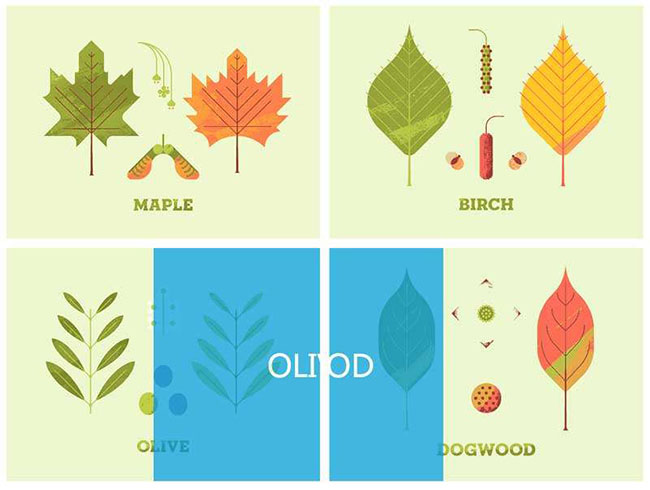  jQ悬停图片感知方向遮罩特效