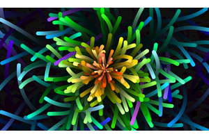 海底海葵生长HTML5特效