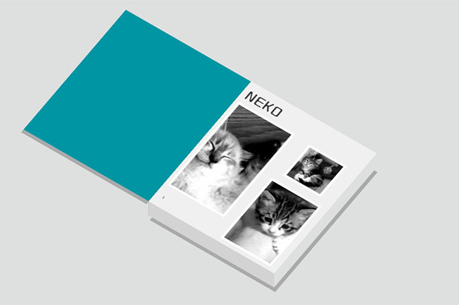  JS点击书本相册翻页代码