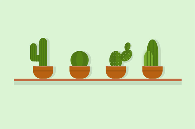  css3卡通仙人掌动画特效